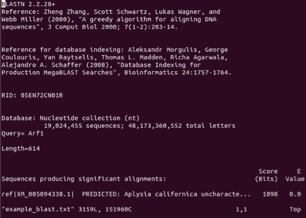 Write a program that will open a BLASTN Image 1 Write a program that will open a BLASTN Image 1