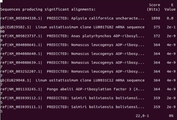 Write a program that will open a BLASTN Image 2