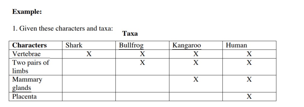 characteristics used to create the cladogram