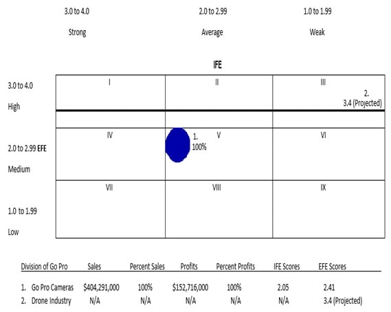 GoPro Company Evaluation img5