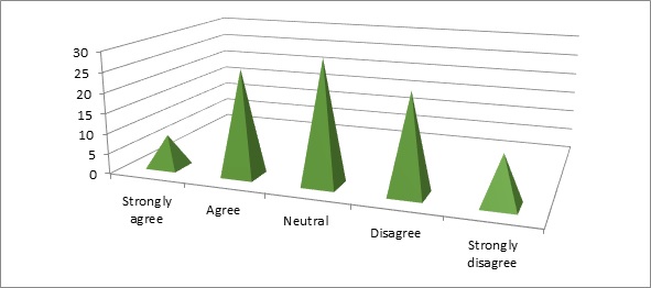 Management Strategy Implemented In MNCs Organization img10