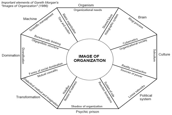 MGMT6012 Management Perspective img1