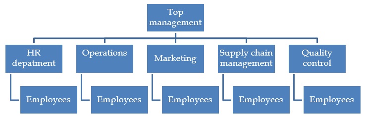 Organizational structure