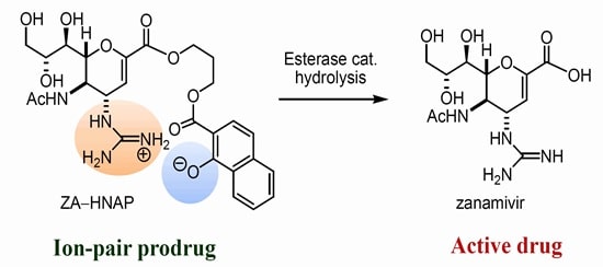 Prodrugs img12