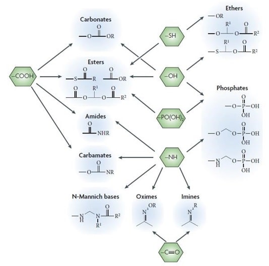 Prodrugs img2