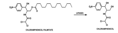 Prodrugs img3