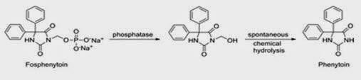 Prodrugs img4