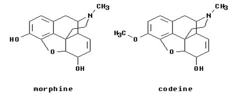 Prodrugs img9