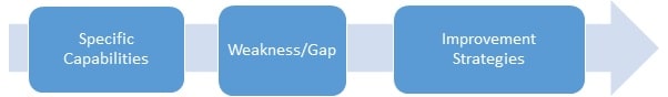 Professional Capability Gap Analysis Professional Capability Gap Analysis img3