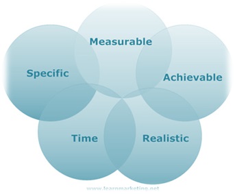 Figure 7: Strategic goals and objectives Figure 7: Strategic goals and objectives