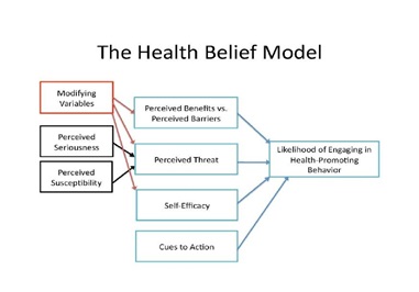 figure 1: The Health Belief Model The Health Belief Model