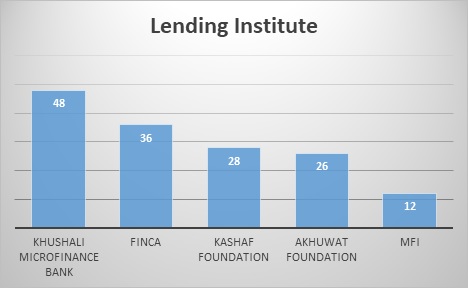 The Impact of Microfinancing img1