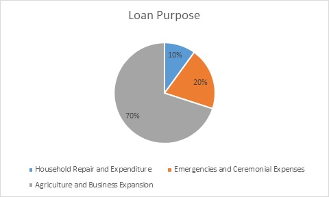 The Impact of Microfinancing img15